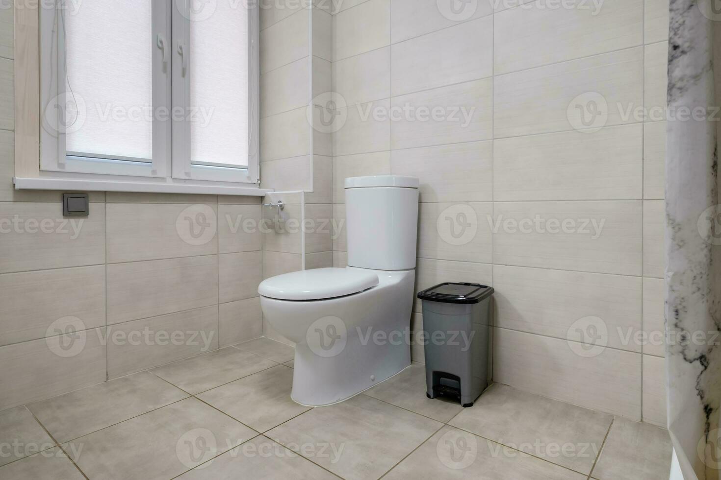 inodoro y detalle de una cabina de ducha de esquina con accesorio de ducha de montaje en pared foto