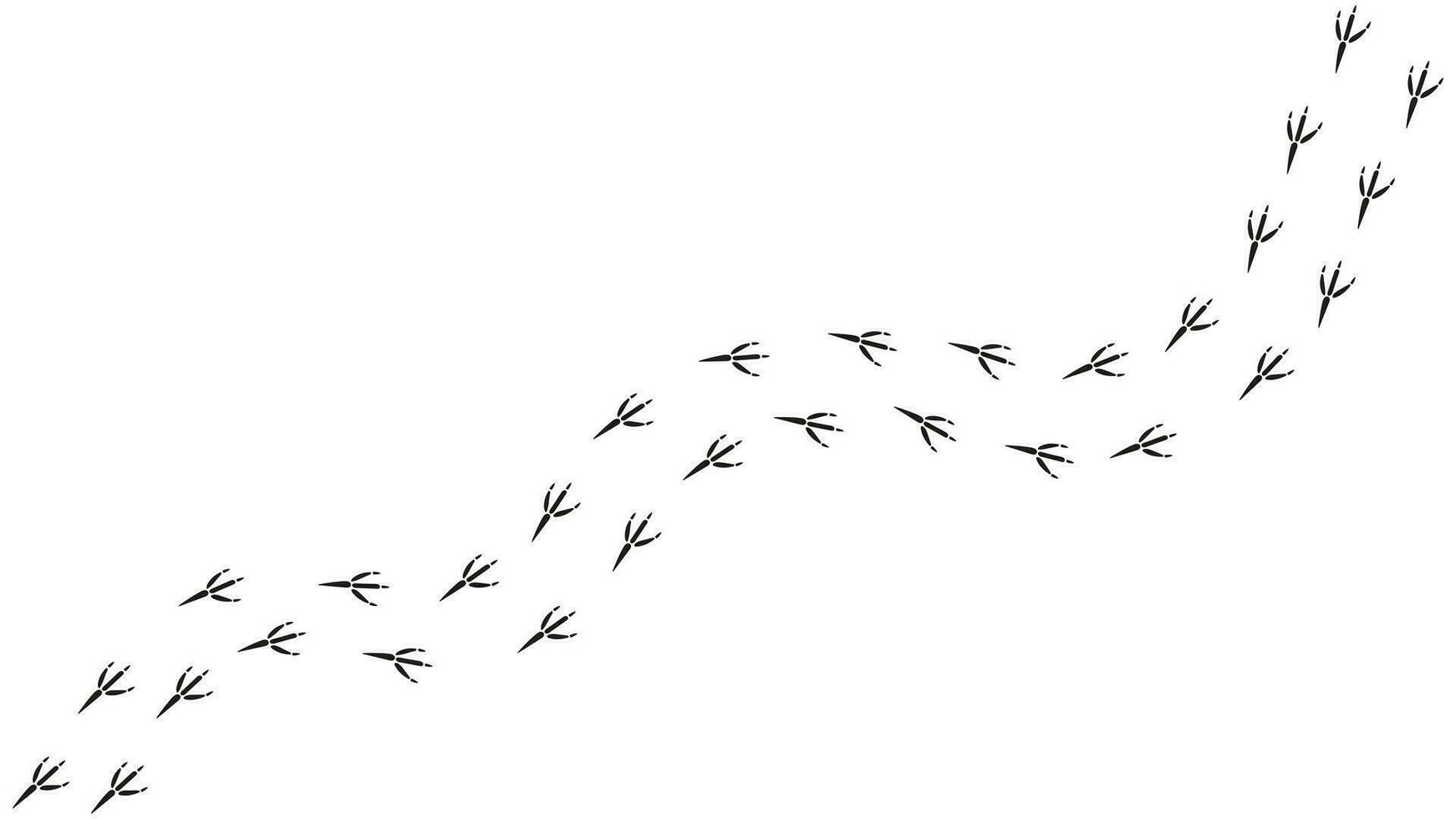 Path footprints of crow, raven, magpie, sparrow, dove, bird. Crow paw print, silhouette. Diagonal track. Vector isolated. Pet shop, textile, print, clothing, textile, educational book, postcard,