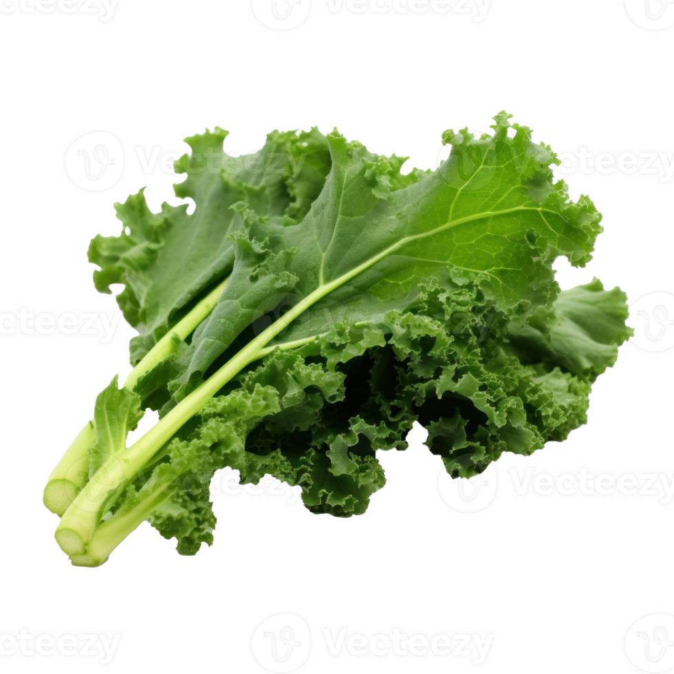 Green kale leaves isolated png