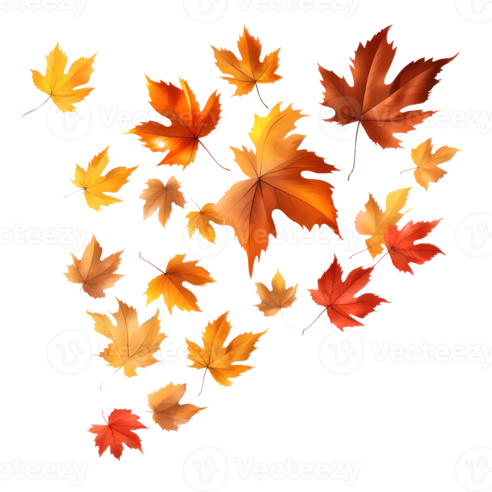 Herbst fallen Blätter isoliert png