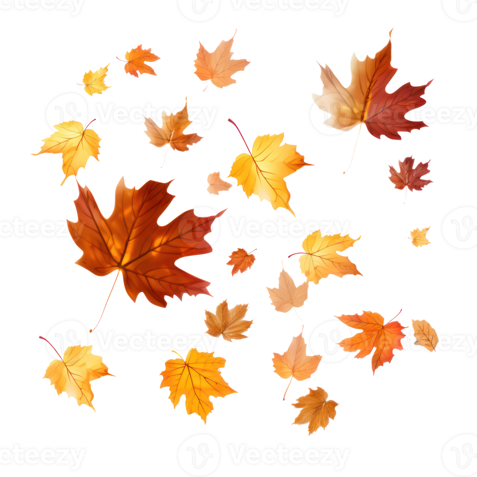 Autumn falling leaves isolated png