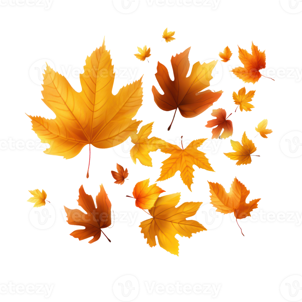 Autumn falling leaves isolated png