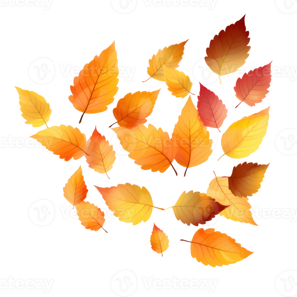 autumn-leaves-emoji-meaning-infoupdate