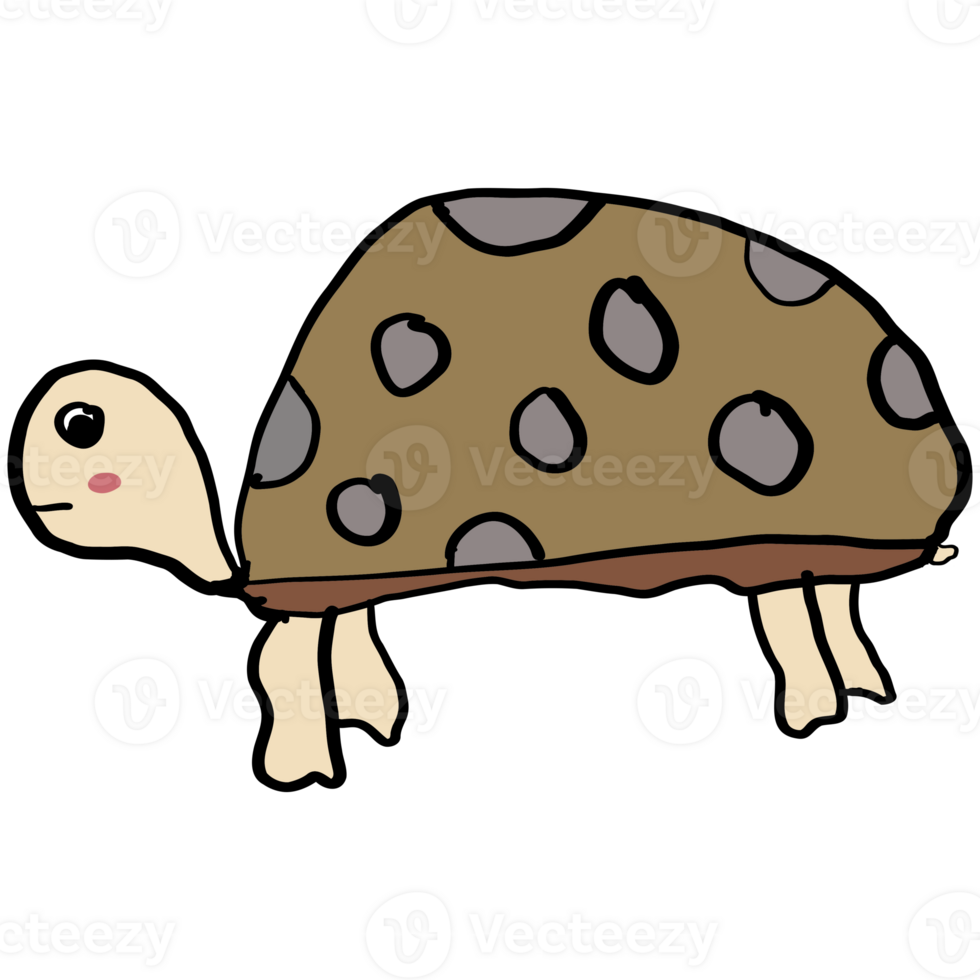 icône illustration tortue dessin animé png