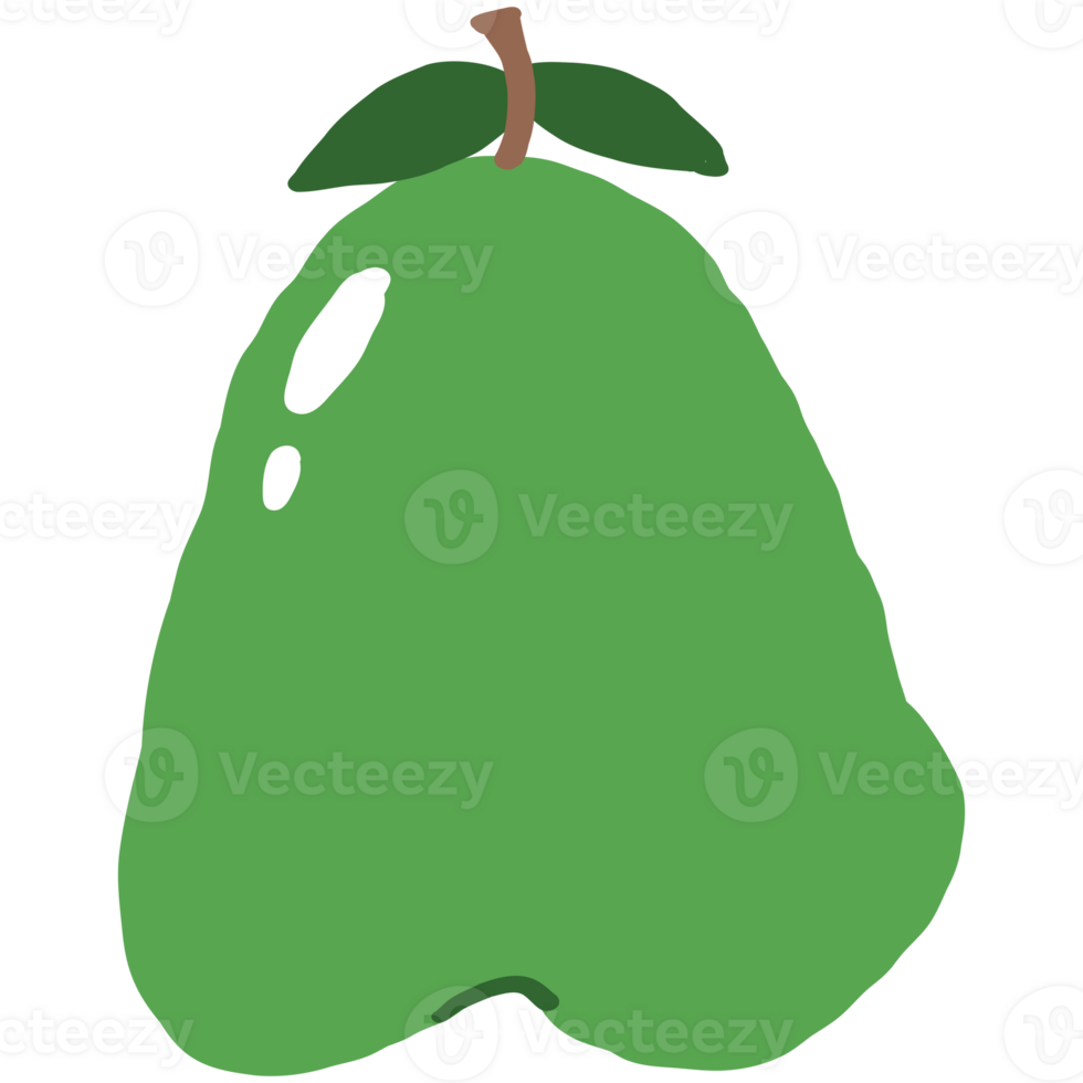 Icon illustration of green pear fruit png