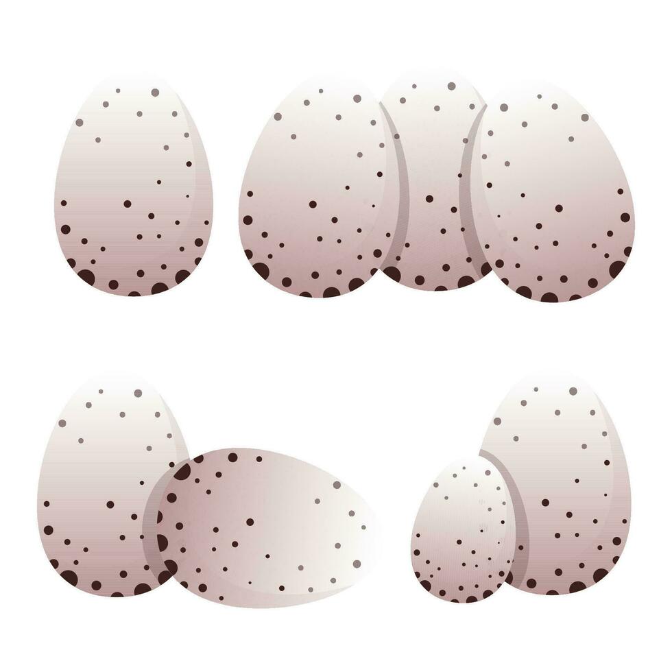 Set of dotted dinosaur eggs vector