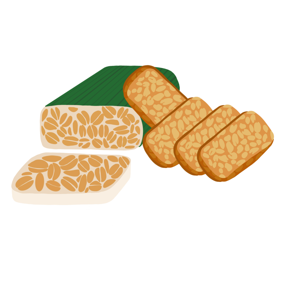 Illustration fried tempe the Indonesian Food png