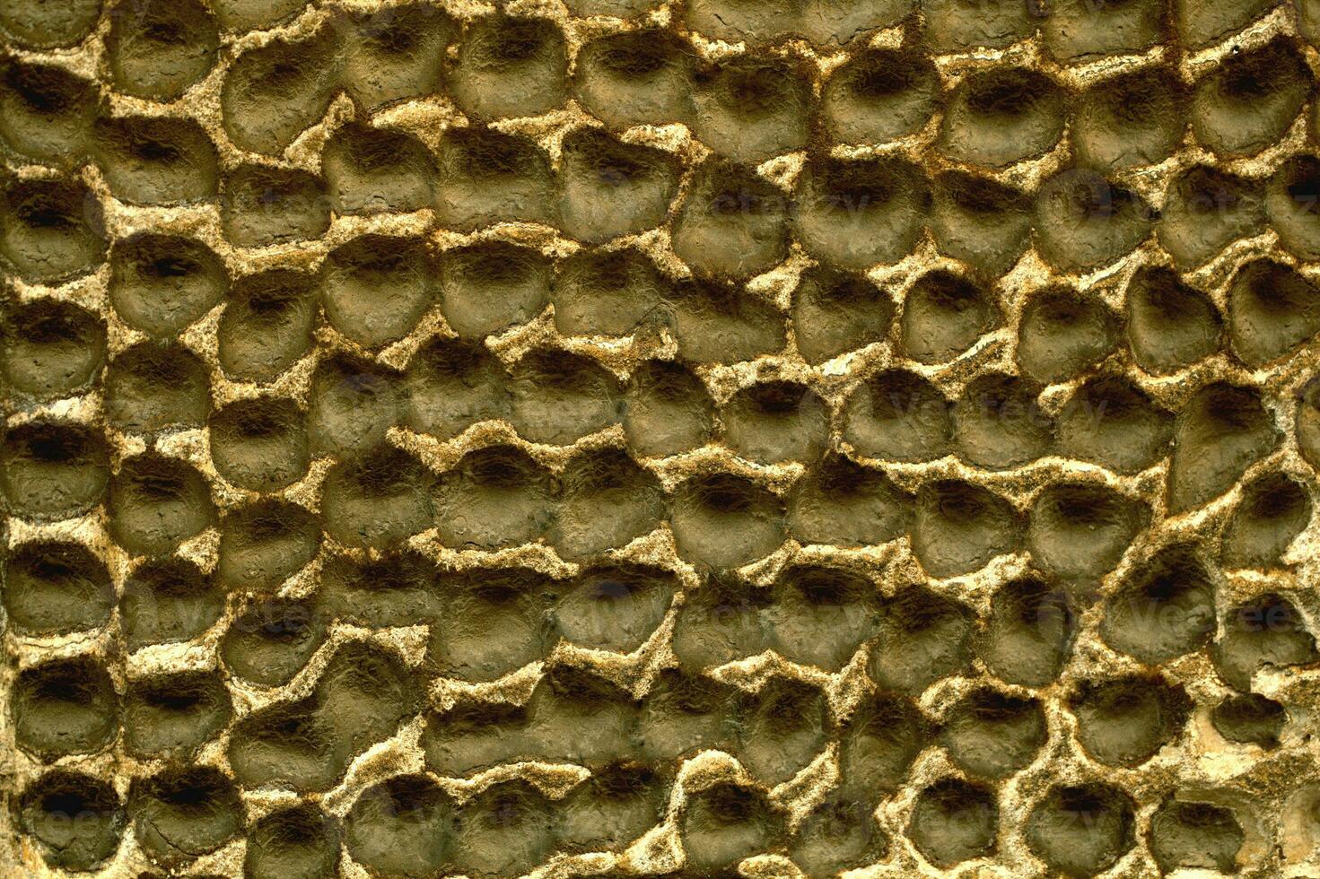 Decorative plaster on a wall with honeycomb effect photo