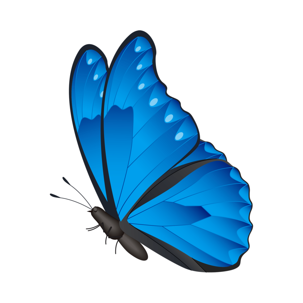 monarch vlinder menelaos blauw Morpho insect borstel generatief ai png