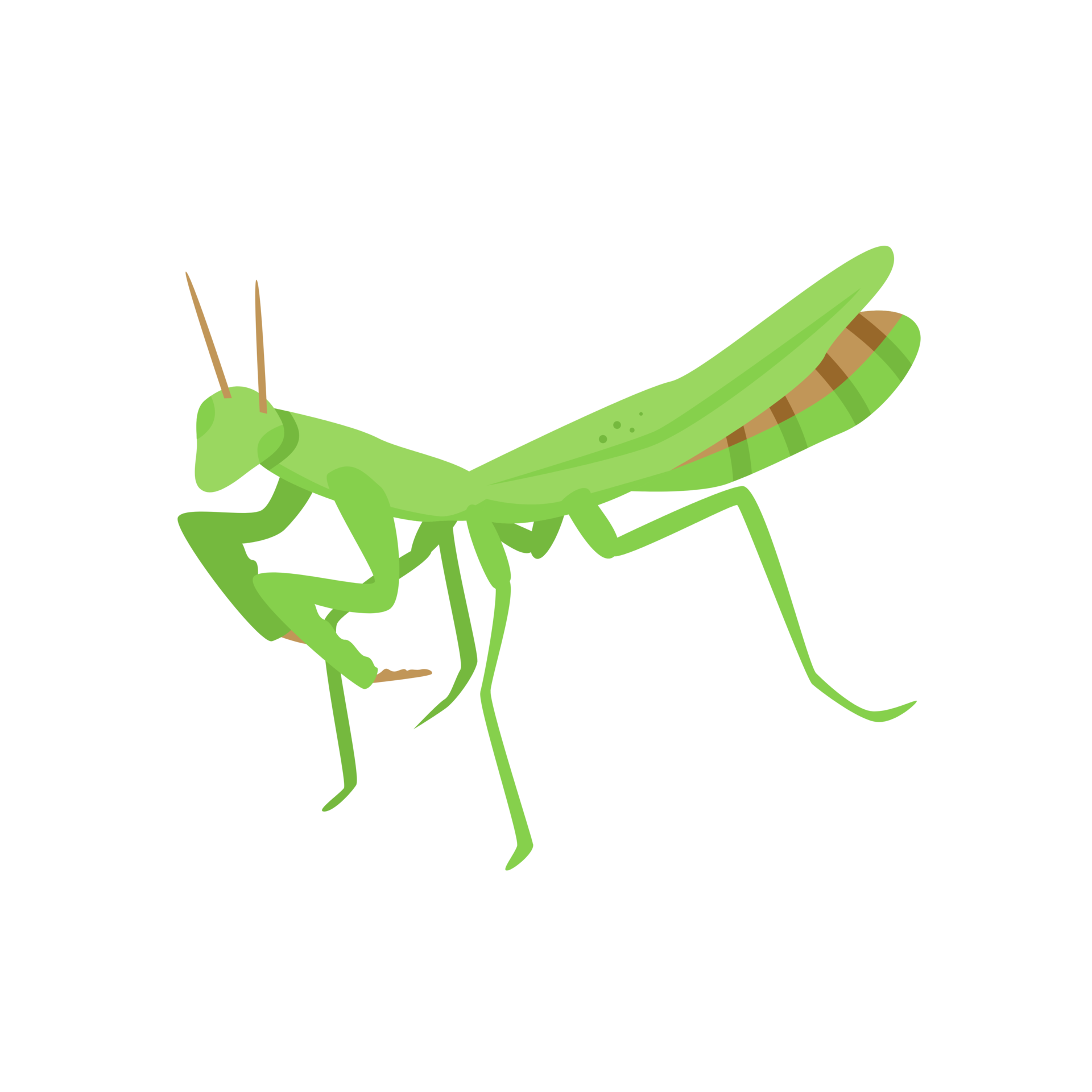 Praying Mantis Generative Ai 27730468 PNG