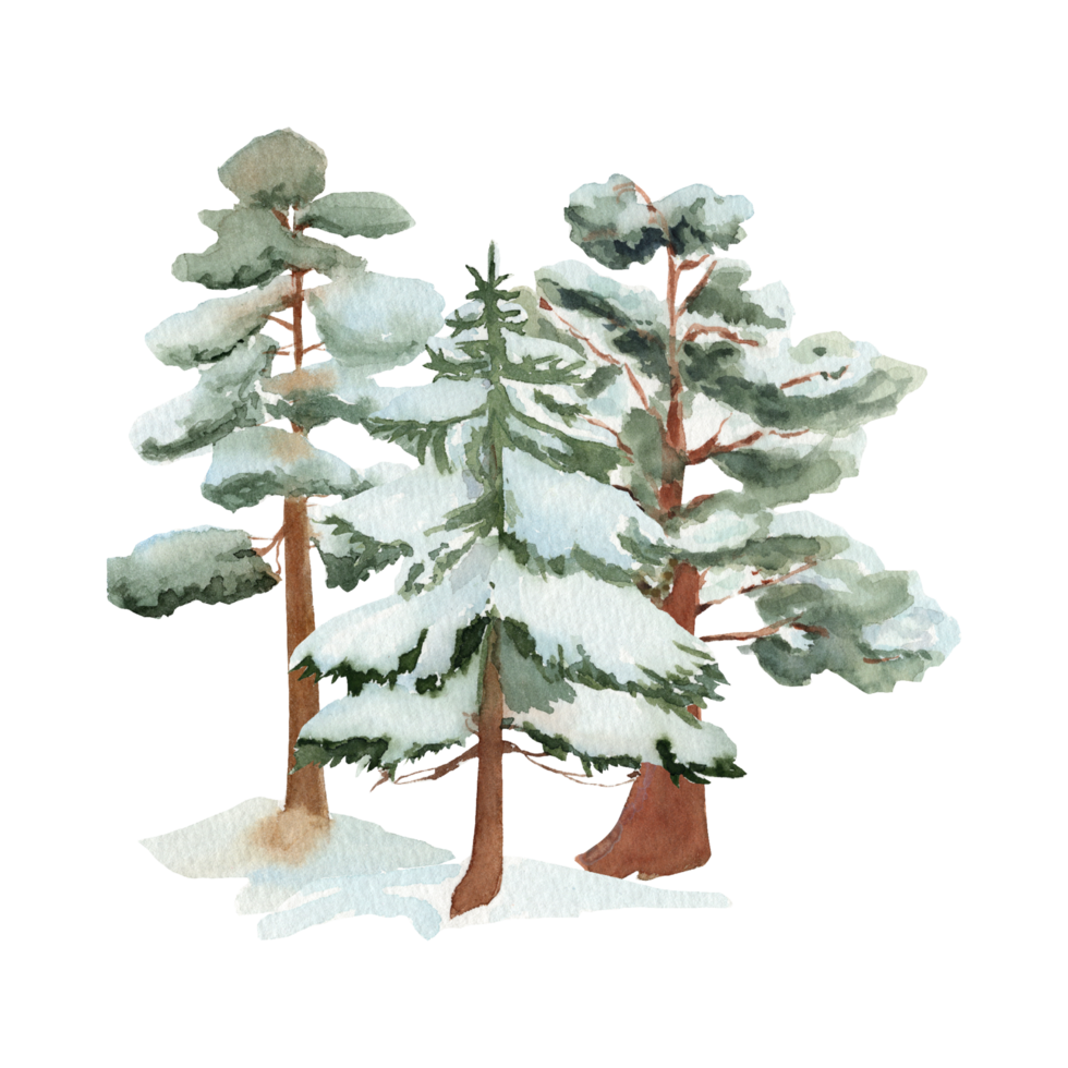 Snowy Pine Tree Generative Ai png