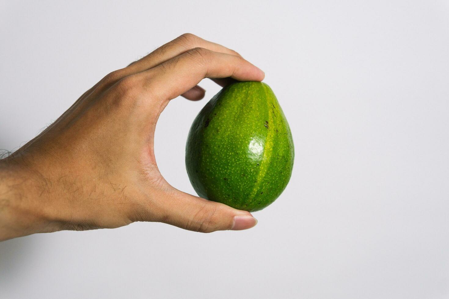 Avocado fruit Persea americana fresh green isolated on white grab by hand. White Isolate Background photo