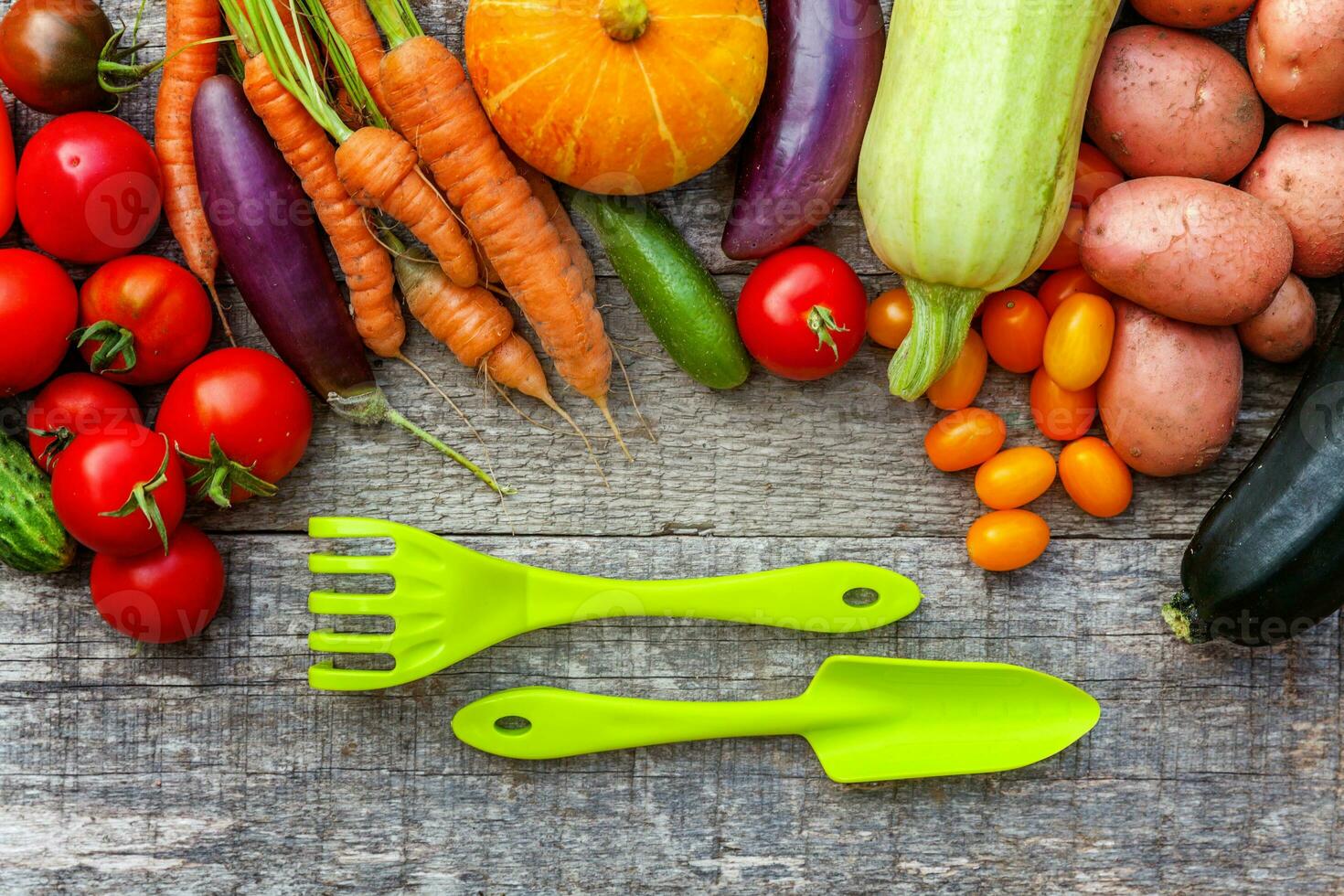 Assortment different fresh organic vegetables and gardening tools on country style wooden background. Healthy food vegan vegetarian eating dieting concept. Local garden produce clean food. photo