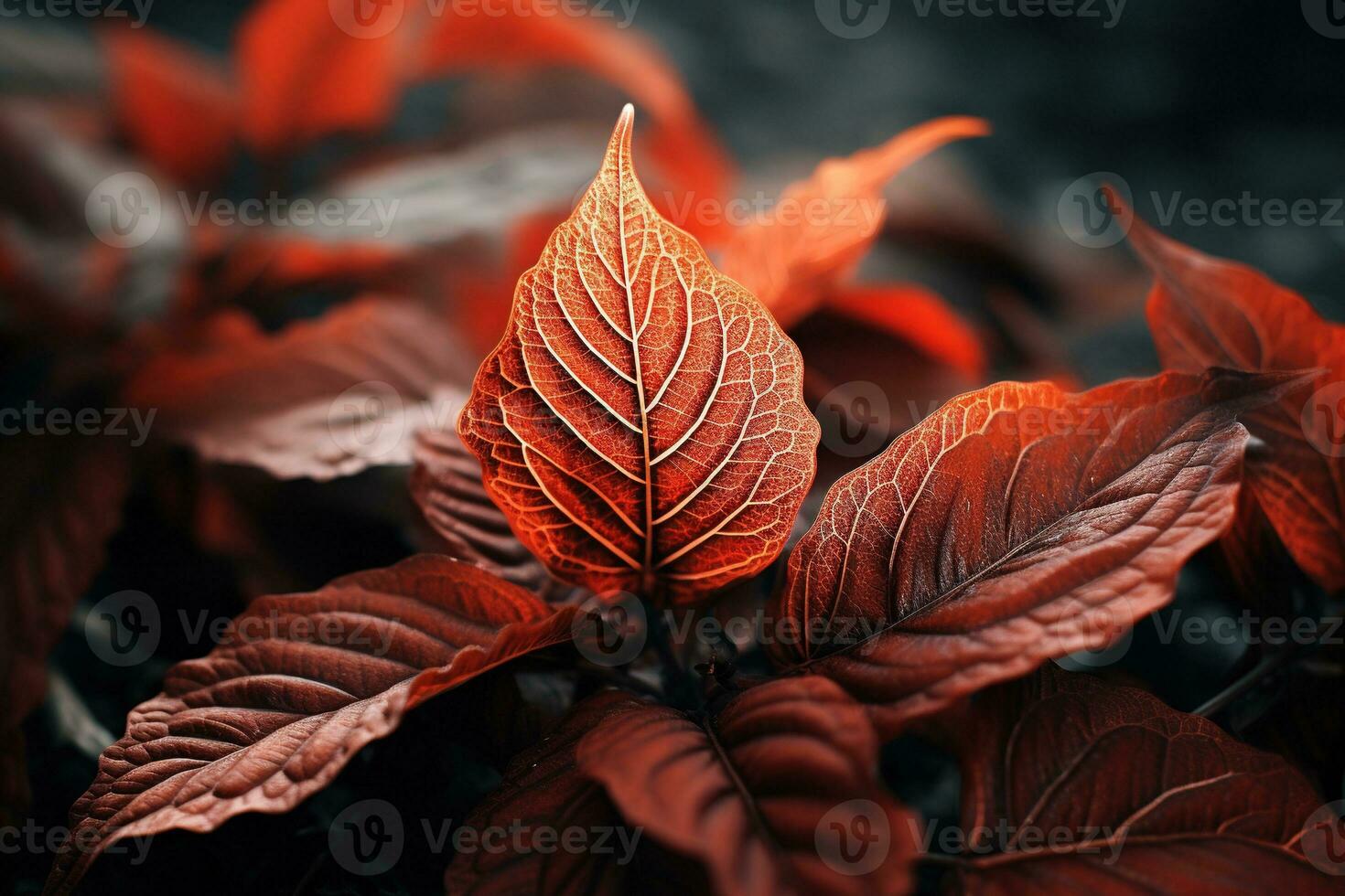 Close up of beautiful autumn leaves with water drops. Natural background AI Generated photo