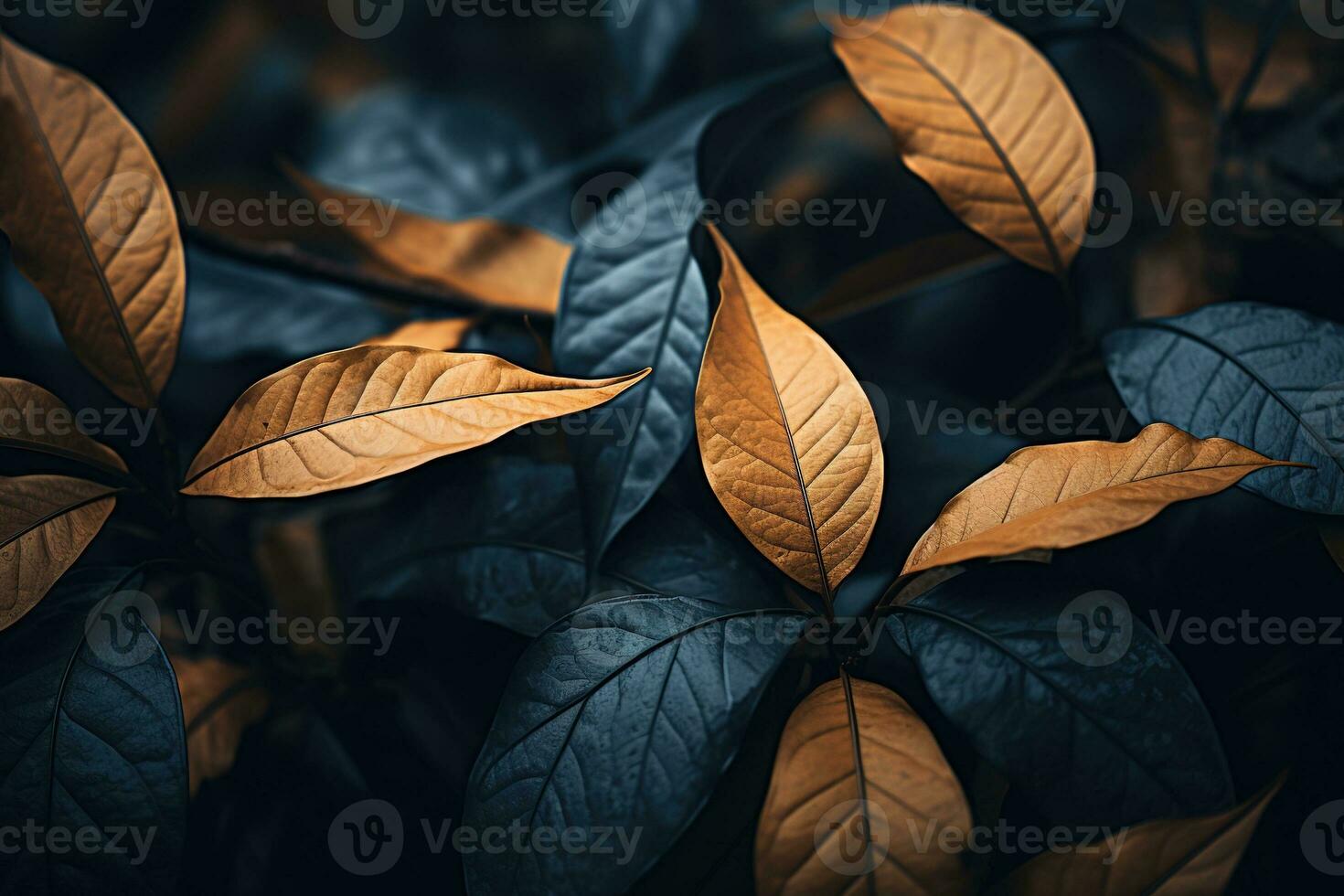 Close up of beautiful autumn leaves with water drops. Natural background AI generated photo