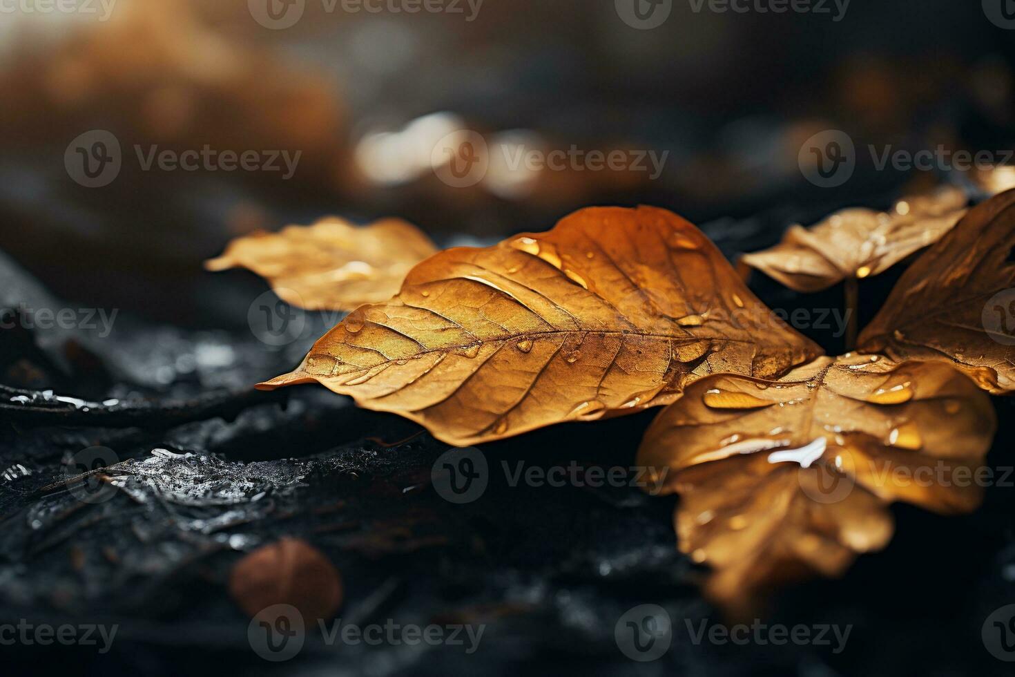 Close up of beautiful autumn leaves with water drops. Natural background AI generated photo