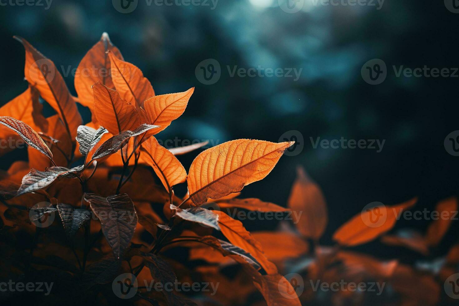 Close up of beautiful autumn leaves with water drops. Natural background AI Generated photo