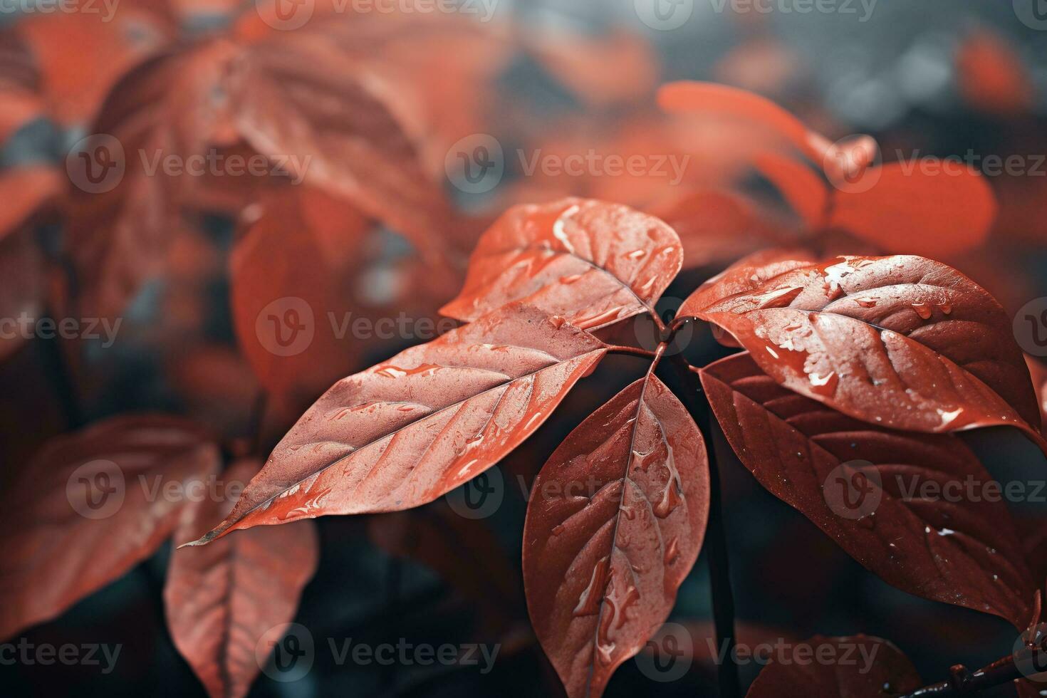 Close up of beautiful autumn leaves with water drops. Natural background AI Generated photo