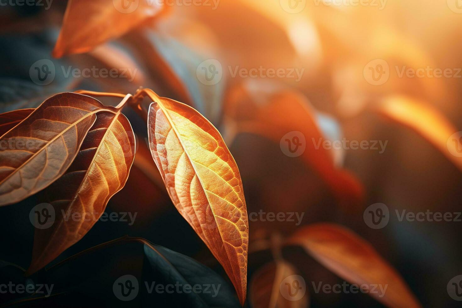 Close up of beautiful autumn leaves with water drops. Natural background AI generated photo