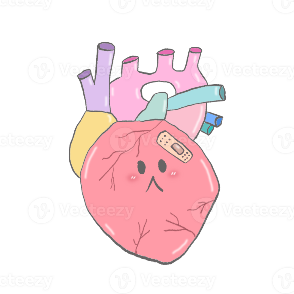 carino cartone animato pastello scarabocchio mano disegnare anatomia cuore png