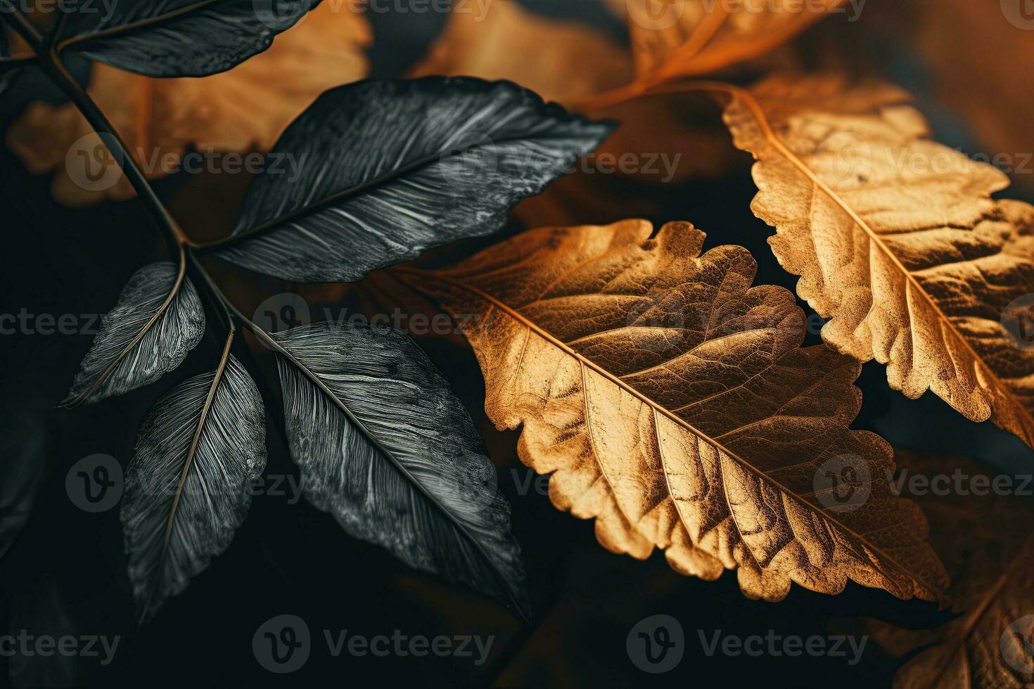 Close up of beautiful autumn leaves with water drops. Natural background AI generated photo