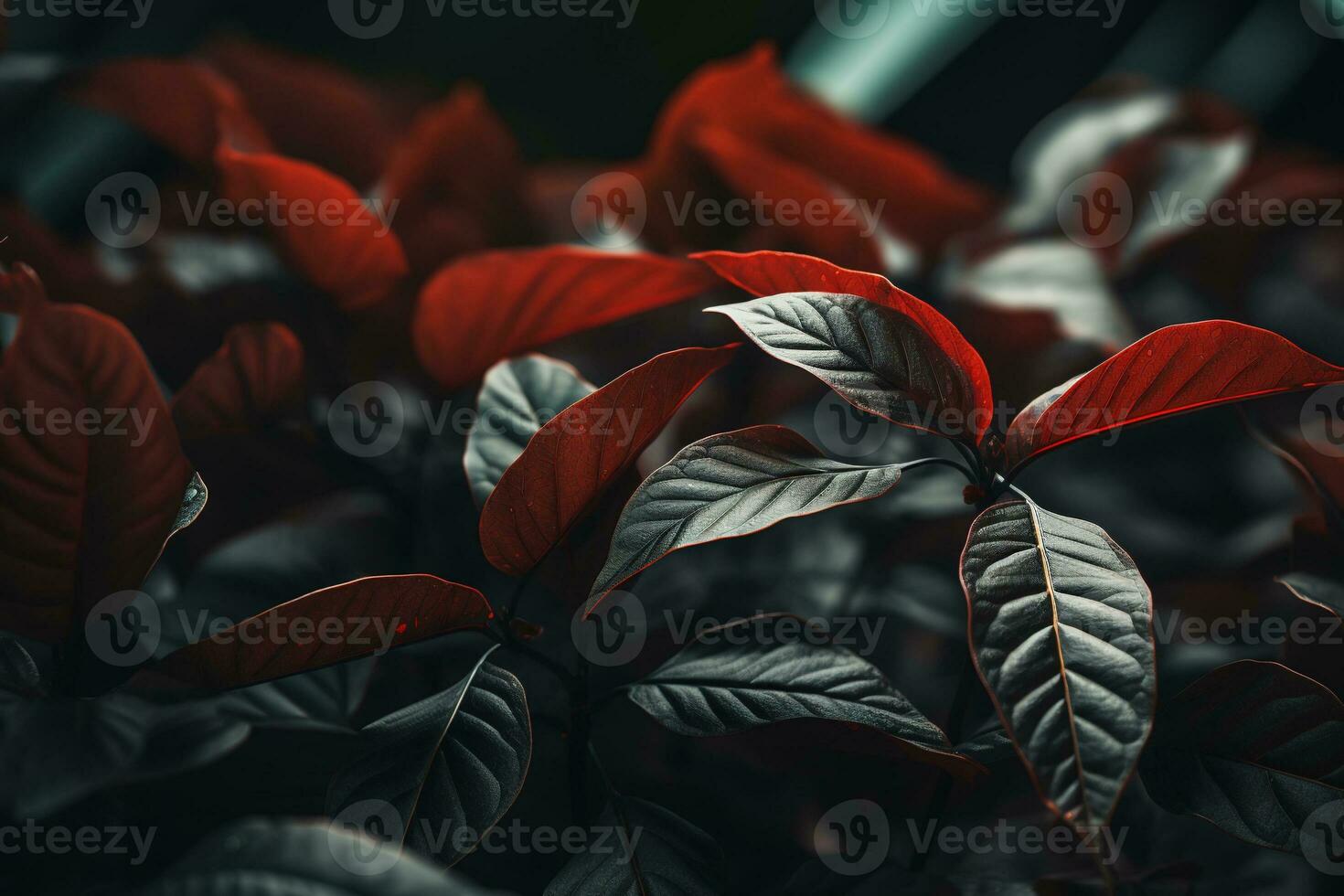 Close up of beautiful autumn leaves with water drops. Natural background AI generated photo