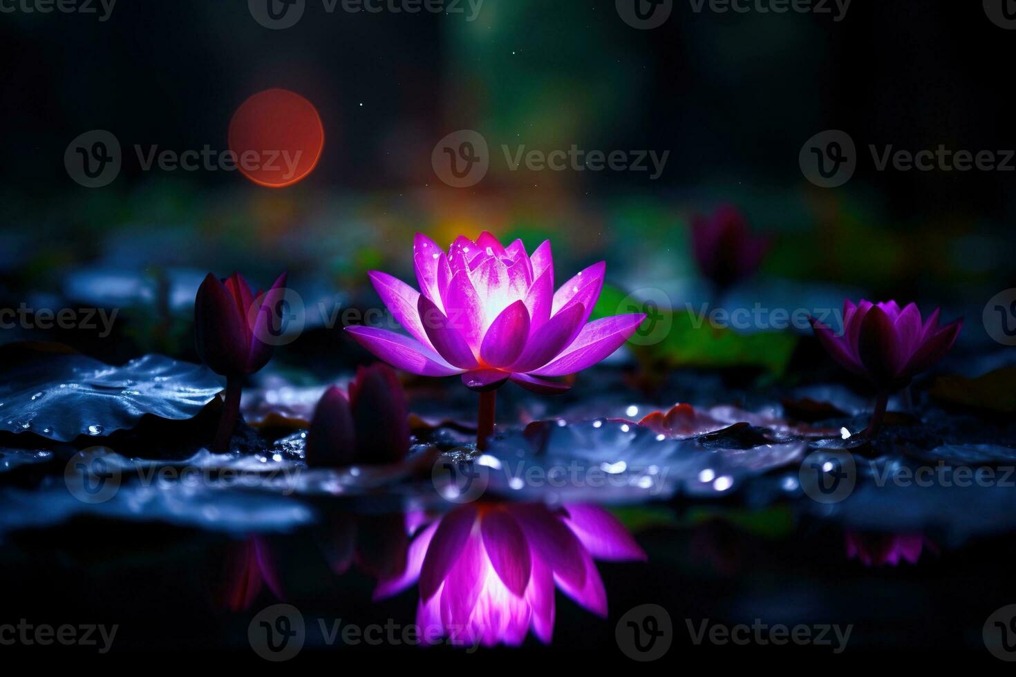 Beautiful pink water lily or lotus flower on dark background AI Generated photo