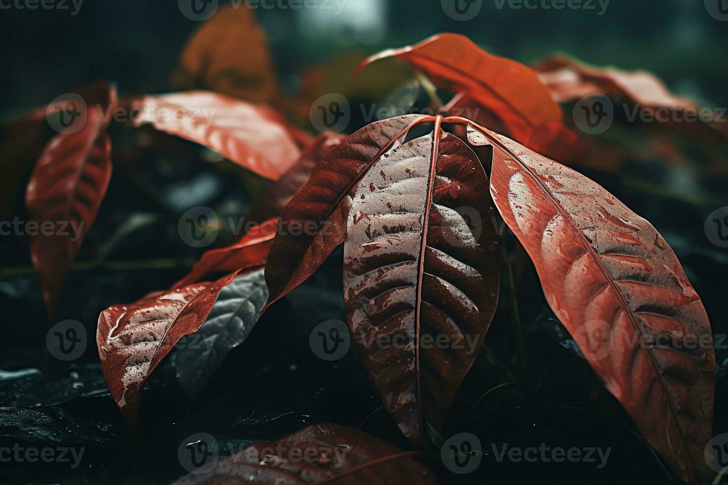 Close up of beautiful autumn leaves with water drops. Natural background AI generated photo