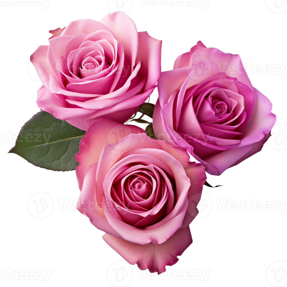 AI Generative Watercolor bouquet of roses isolated on transparent background png