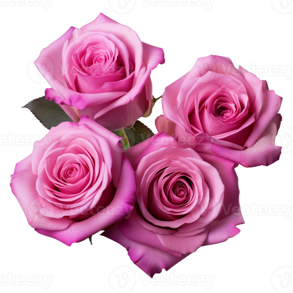AI Generative Watercolor bouquet of roses isolated on transparent background png