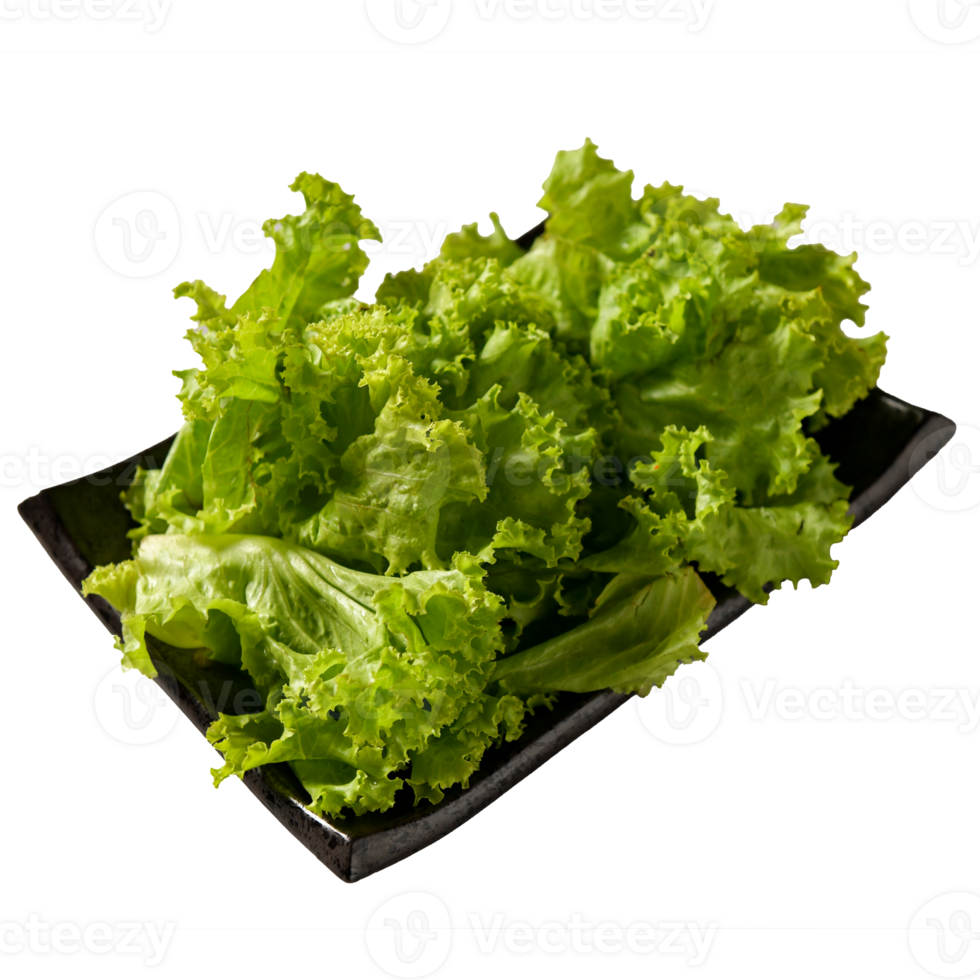 Green Leaf Lettuce png