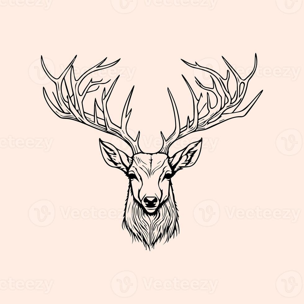 Hunting illustration hand drawn design, hunting design. hunting vector, deer head vector photo