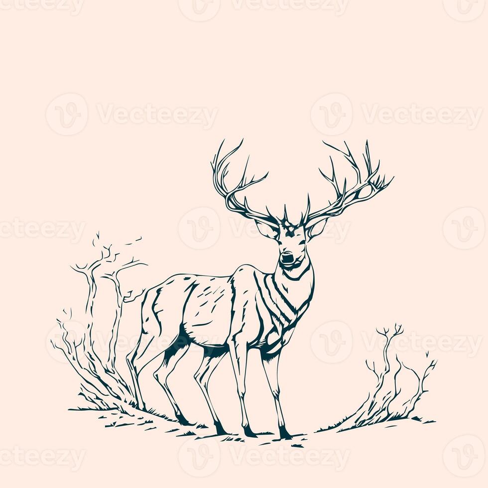 Hunting illustration hand drawn design, hunting design. hunting vector, deer head vector photo