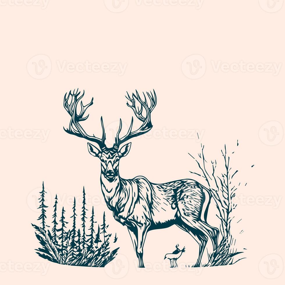 Hunting illustration hand drawn design, hunting design. hunting vector, deer head vector photo