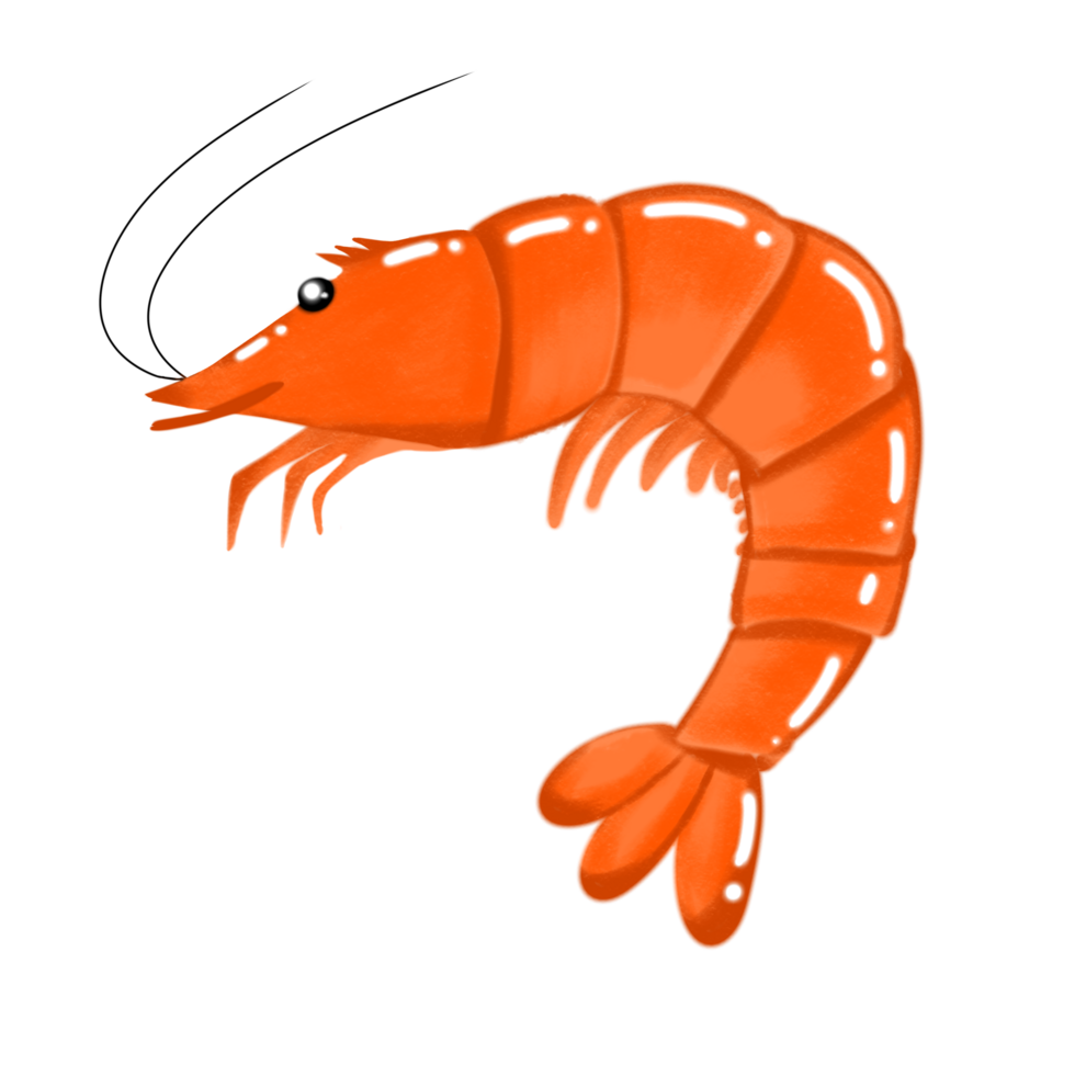 shrimp png clipart