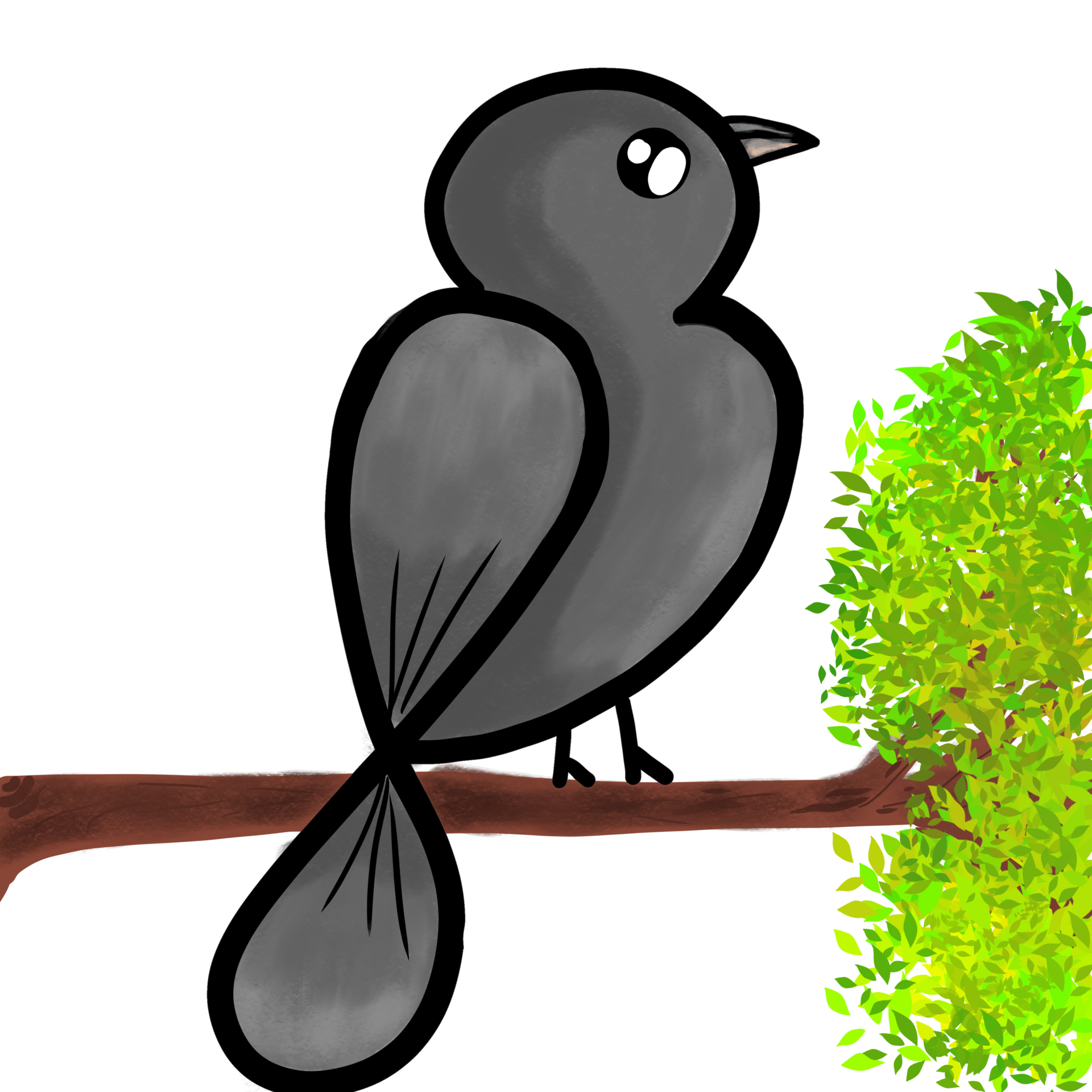 a black bird sitting on a tree branch 27738787 PNG