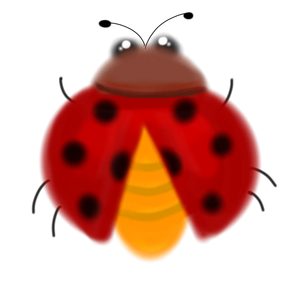 a ladybug with a red and yellow body png