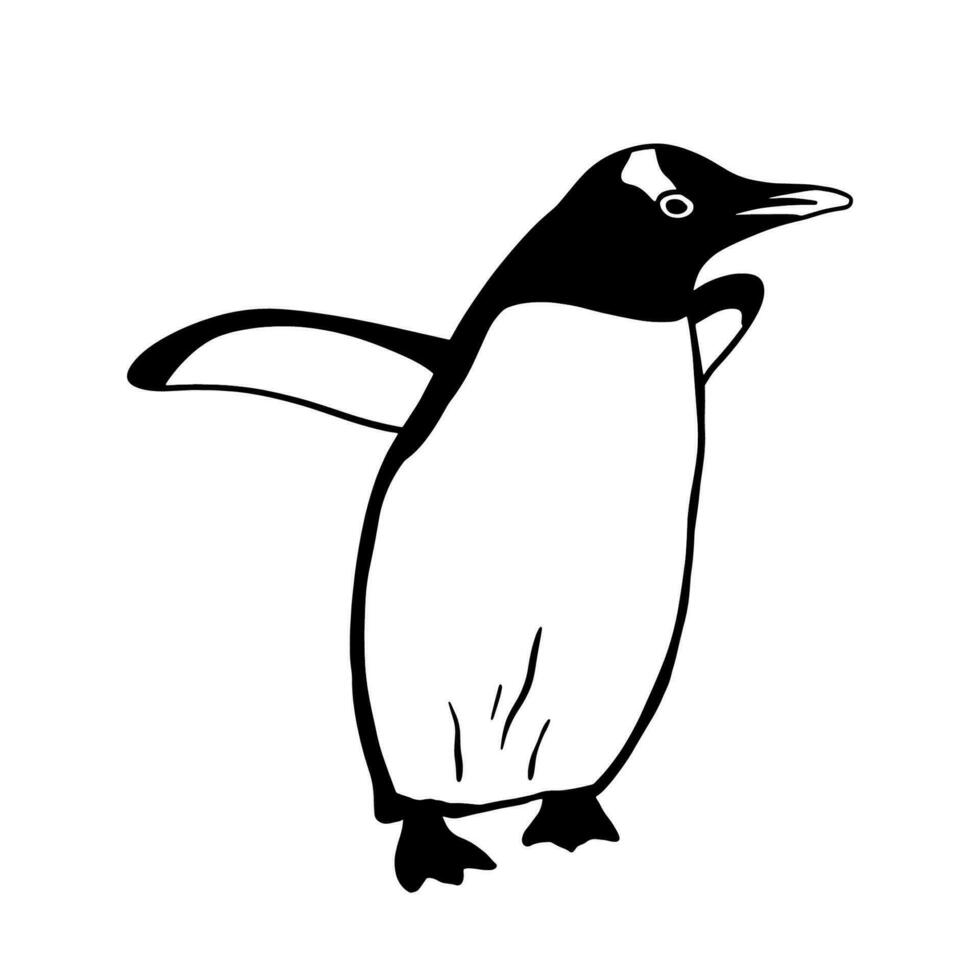 Cute Northern Penguin. Monochrome vector illustration. Realistic polar animal