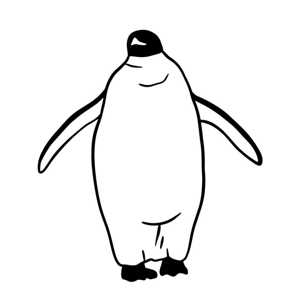 Rey pingüino. monocromo vector ilustración. realista polar animal