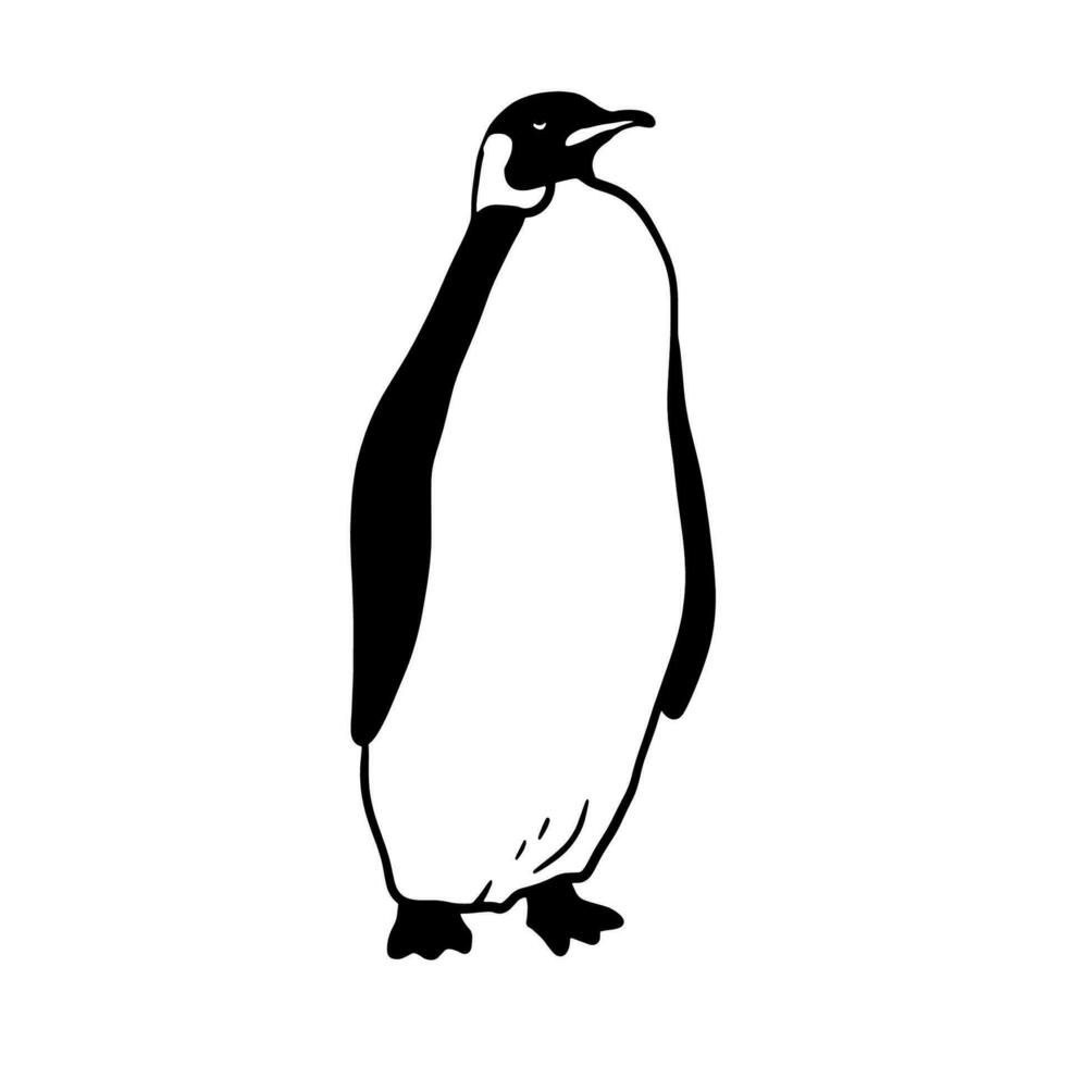 Rey pingüino. monocromo vector ilustración. realista polar animal