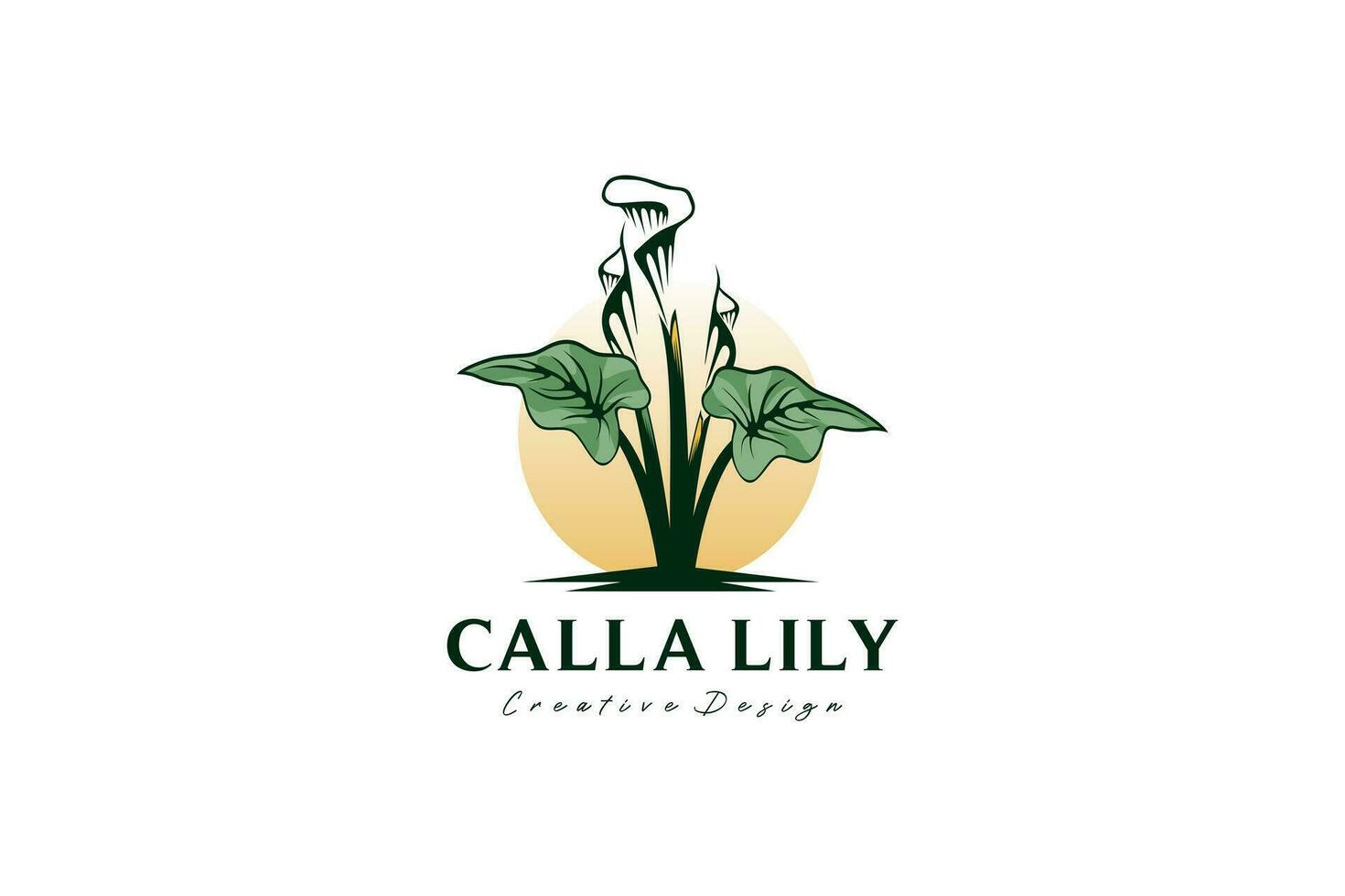 Nature calla lily flower logo design with sun background vector