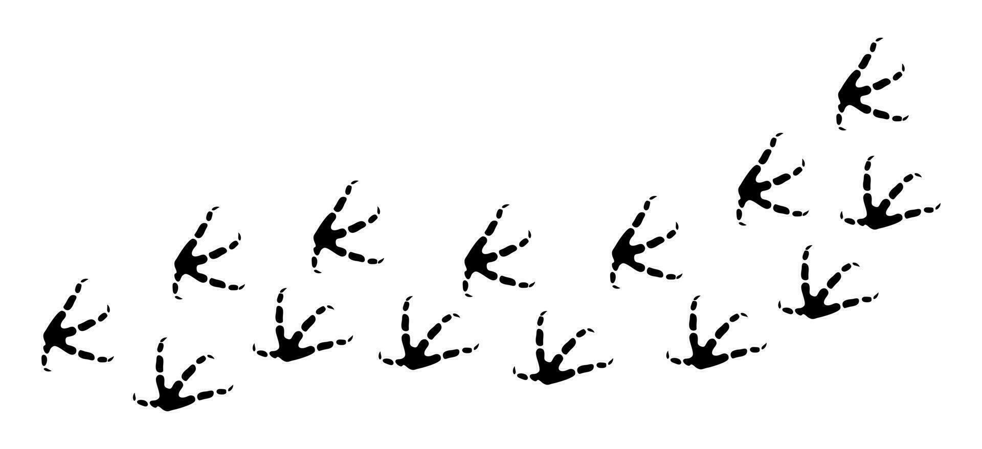águila huellas vector ilustración aislado en blanco antecedentes