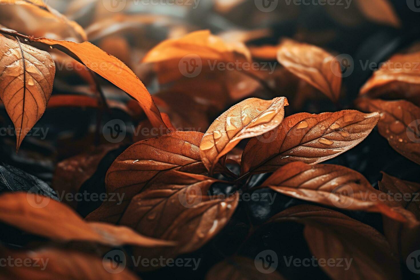 Close up of beautiful autumn leaves with water drops. Natural background AI generated photo