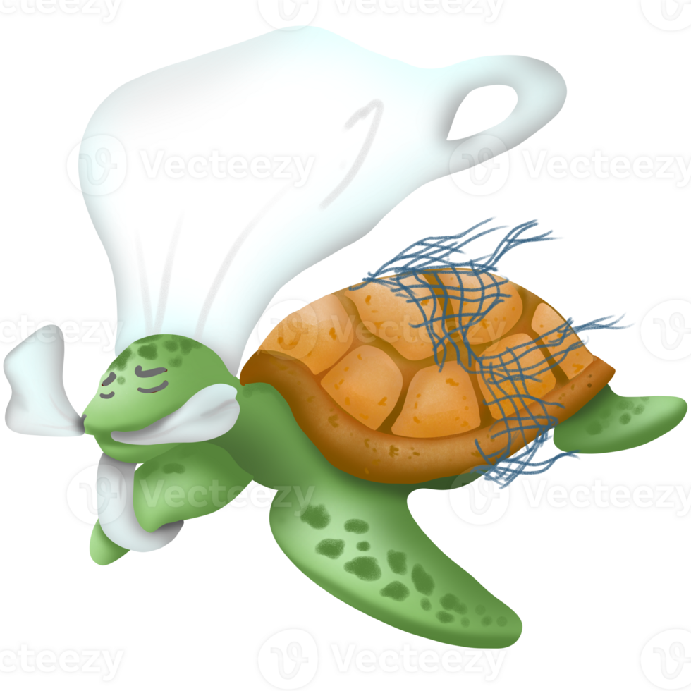 Turtle with plastic bag png