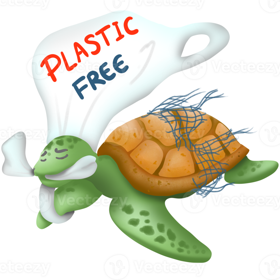 tortue avec Plastique sac png