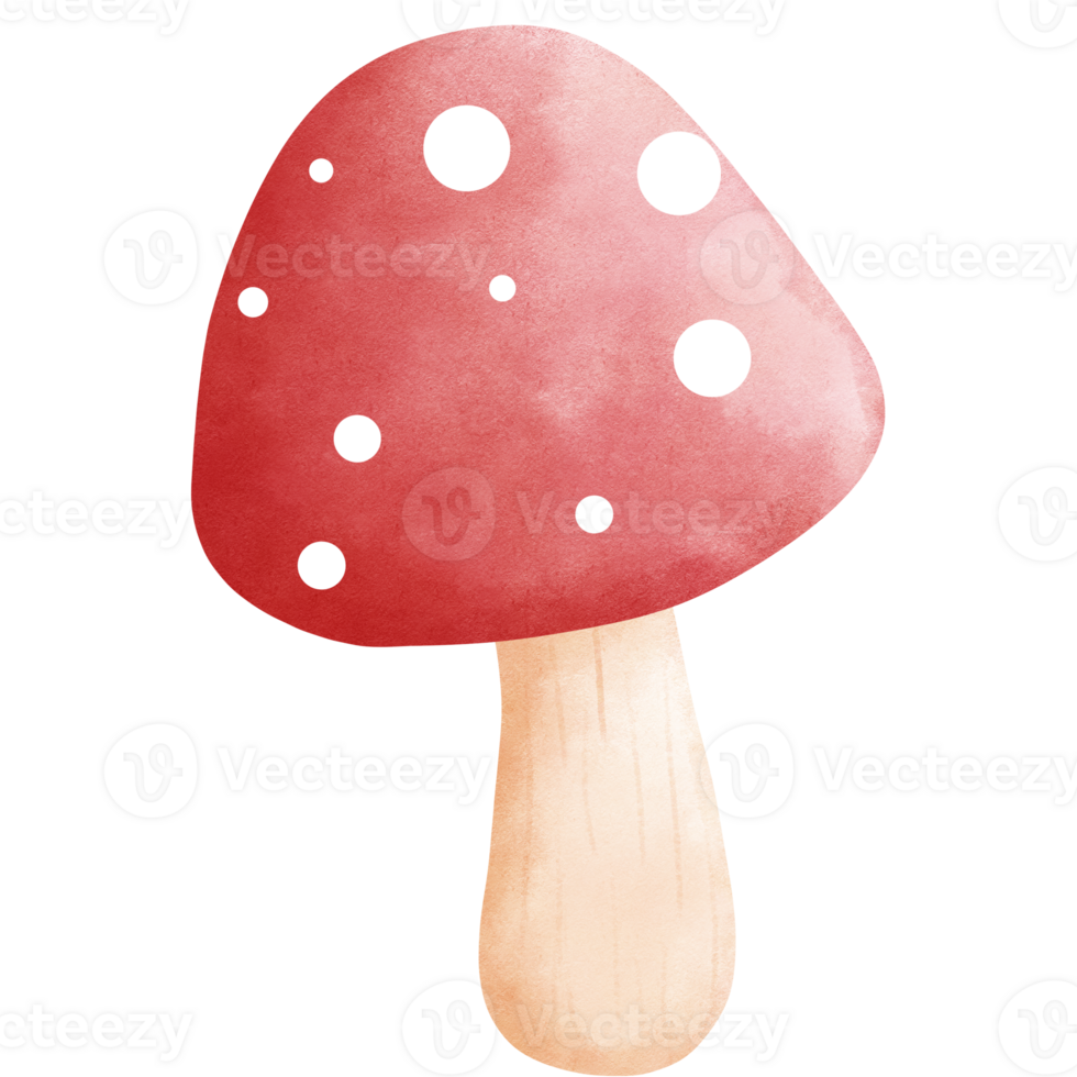 Watercolor red fly agaric mushroom clipart.Cute red fly agaric illustration. png