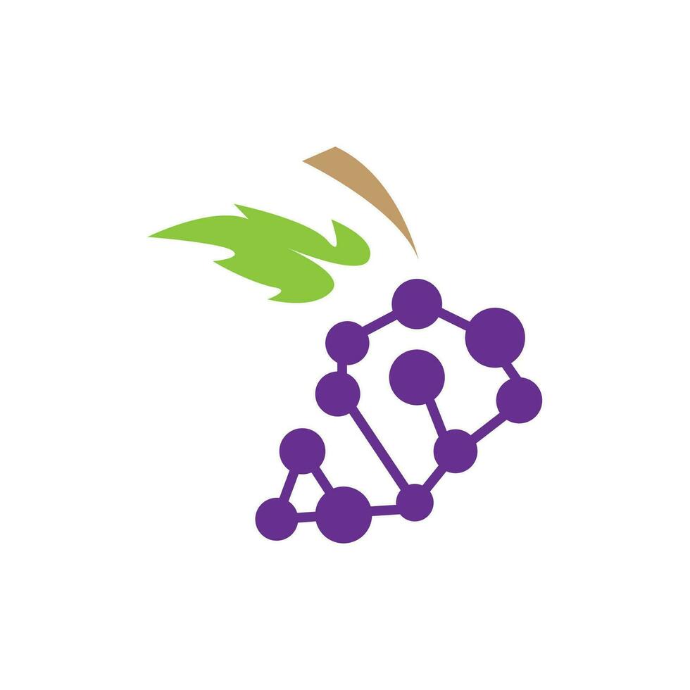 Grape Logo, Garden Vector, Fresh Purple Fruit, Wine Brand Design, Simple Illustration Template vector