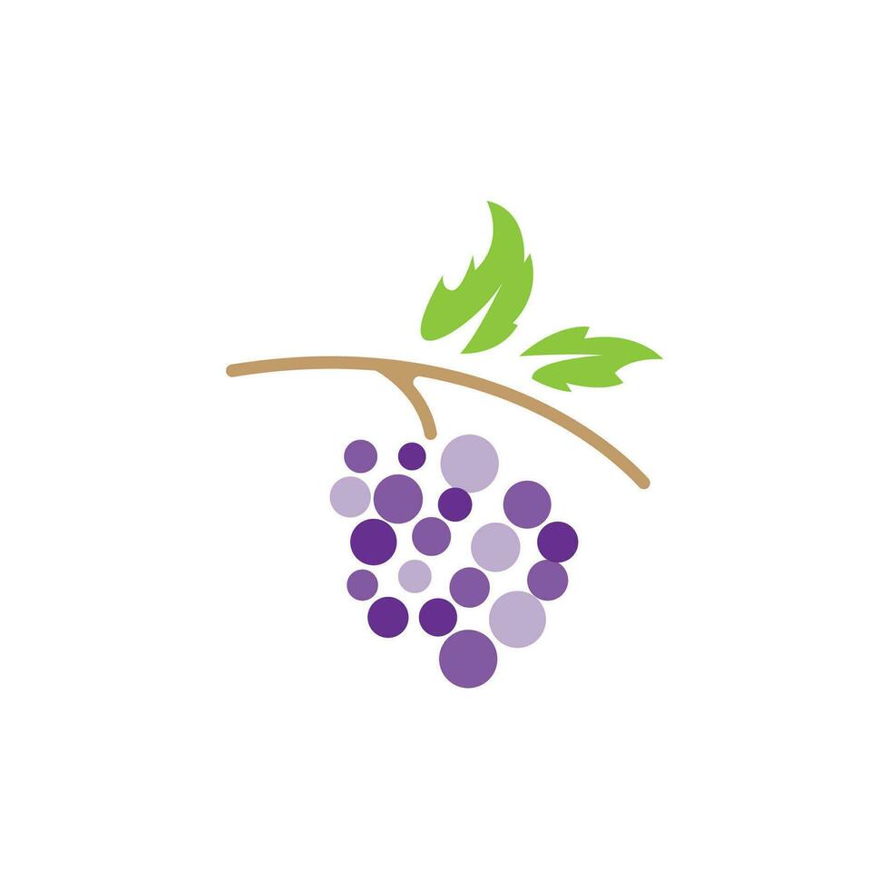 Grape Logo, Garden Vector, Fresh Purple Fruit, Wine Brand Design, Simple Illustration Template vector