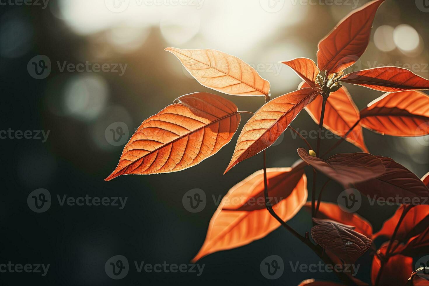 Close up of beautiful autumn leaves with water drops. Natural background AI generated photo