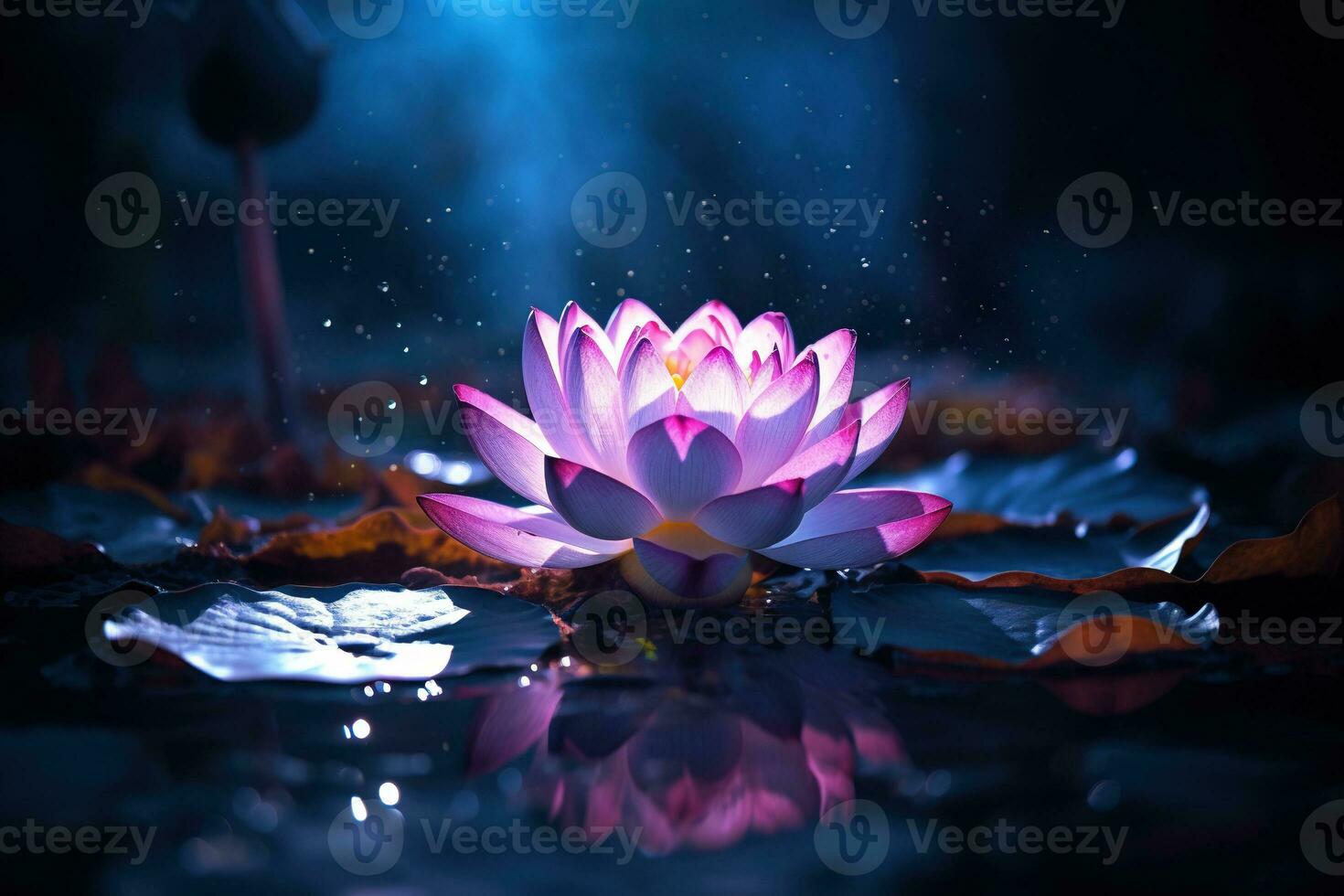 Beautiful pink water lily or lotus flower on dark background AI Generated photo